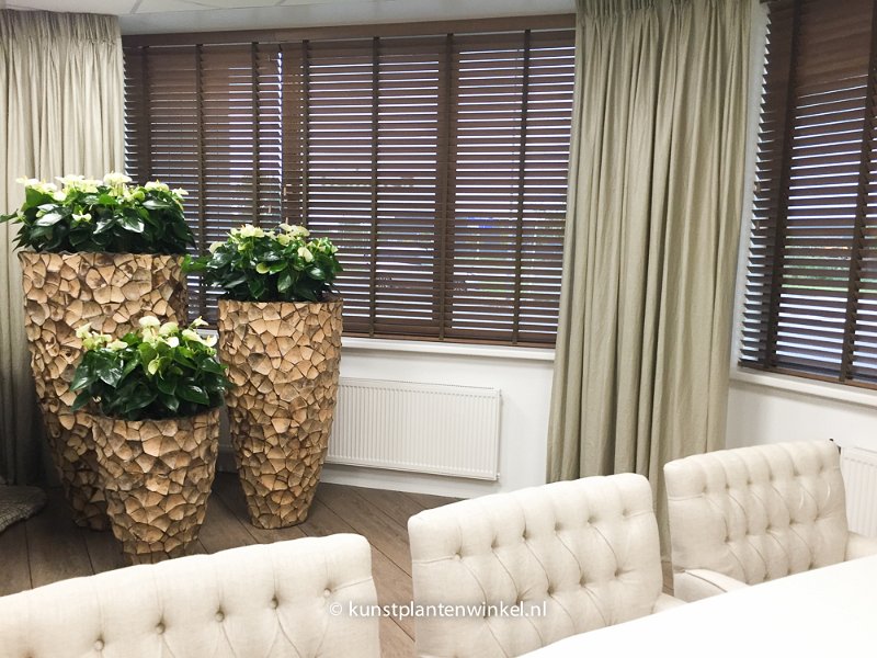 mekelenkamp plantenman project feramed groep 3 coco-3255